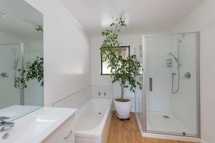 3 Korere-Tophouse Road Kahurangi National Park_13