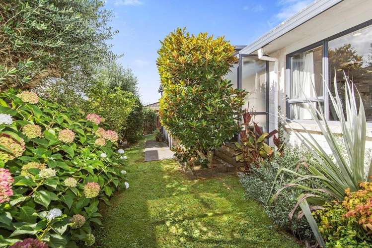 165 Kitchener Road Pukekohe_6