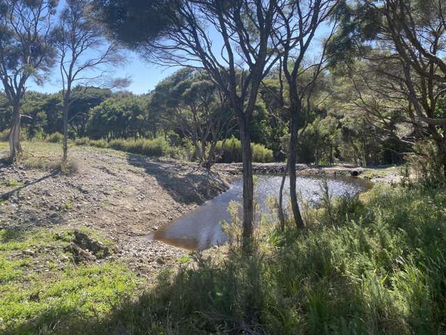 Lot 3/161 Wharariki Road Puponga_4