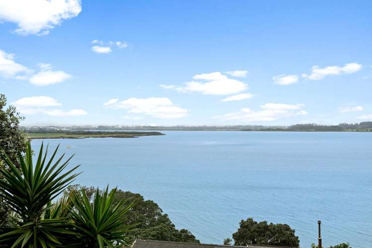 50a Aldersgate Road Hillsborough_15