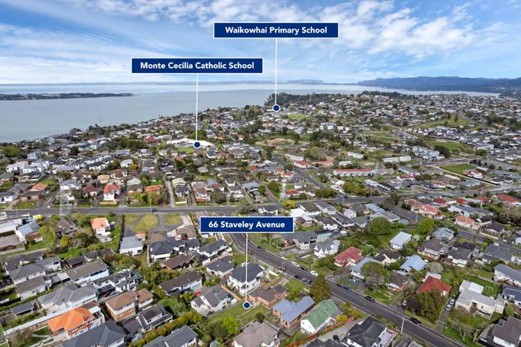 66 Staveley Avenue Hillsborough_27