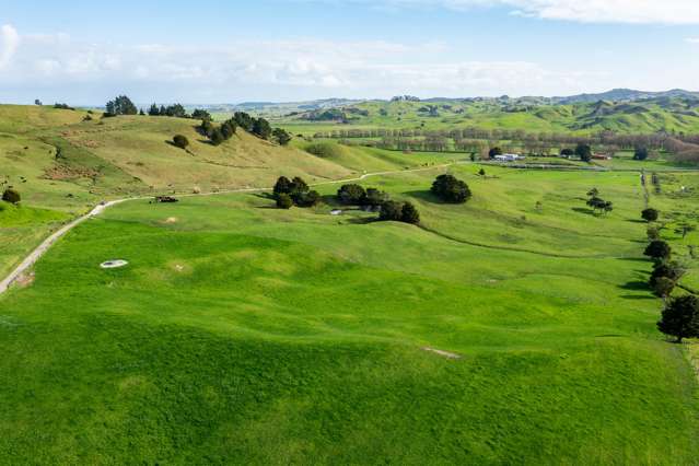 184 Tangowahine Valley Road Dargaville Surrounds_1