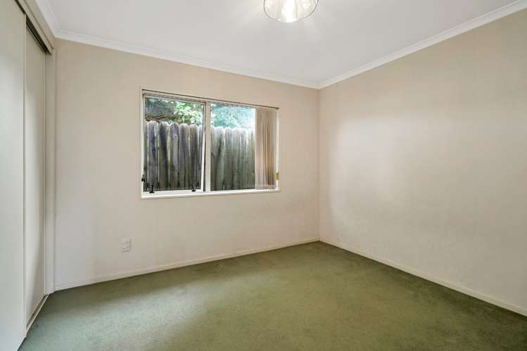 29a Riversdale Road Avondale_9