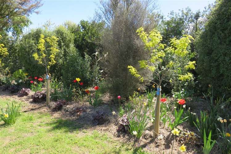 18 Campbell Street Geraldine_19