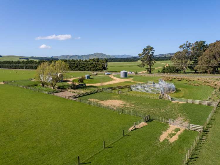 White Rock Road Martinborough_5