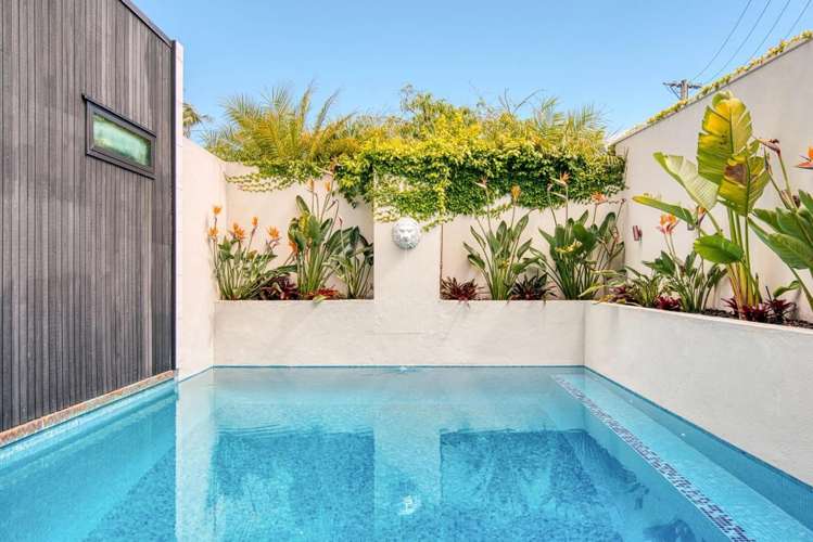  7 Elam Street Parnell_21
