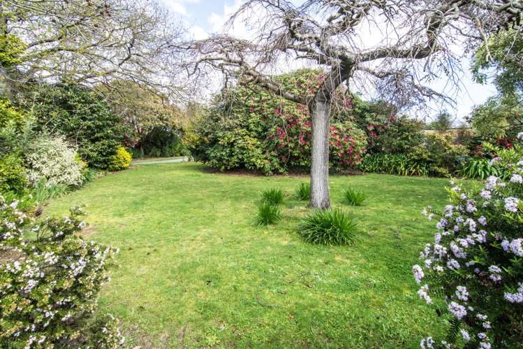 38 French Street Masterton_23