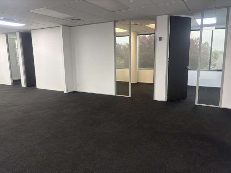 A4, 17 Corinthian Drive Albany_13