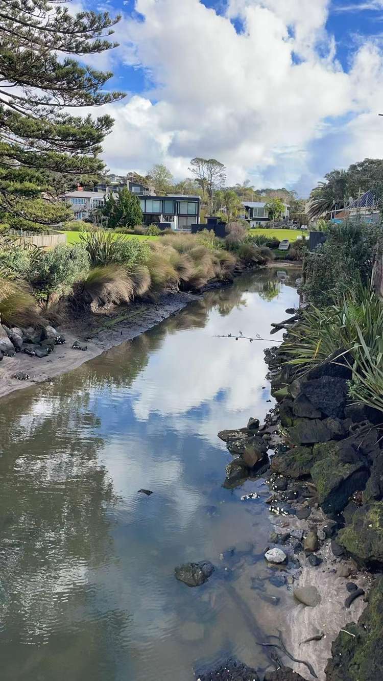 8 Park Rise Campbells Bay_39