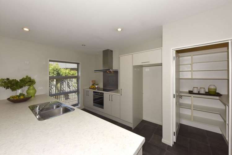 1B Moule Street Addington_10