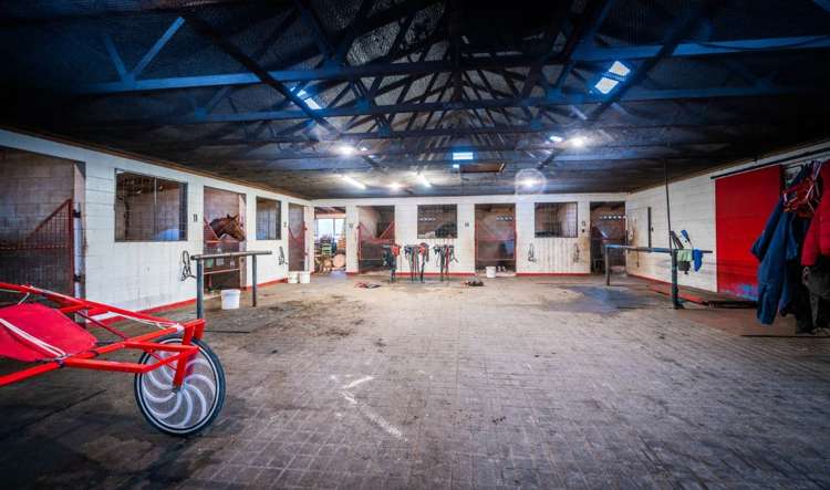 465 Dawsons Road Templeton_3