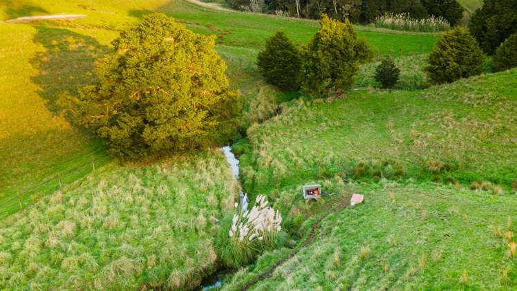 306 West Coast Road Warkworth_31