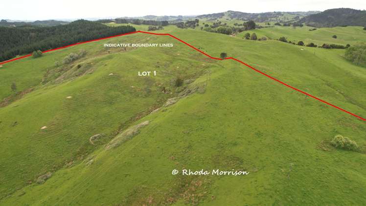 Golden Stairs Rd Maungaturoto_11