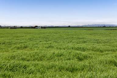 697 Ahipaipa Road_3