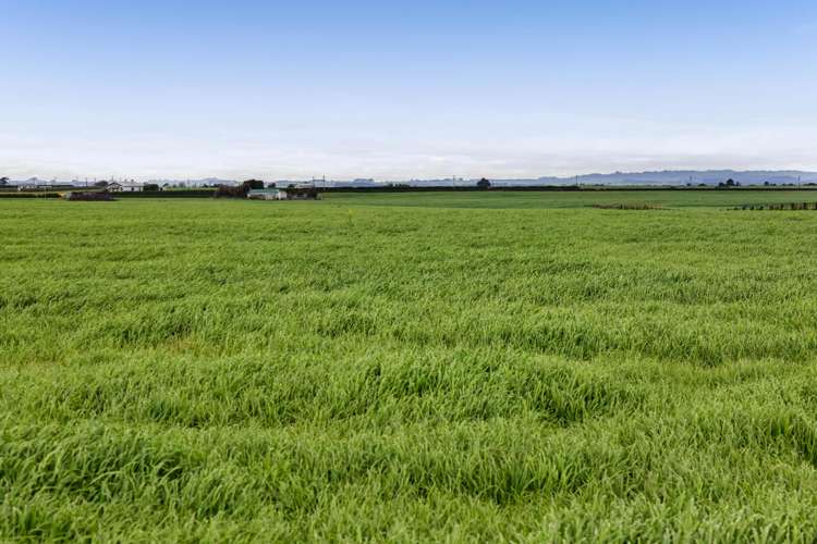 697 Ahipaipa Road Okaiawa_3