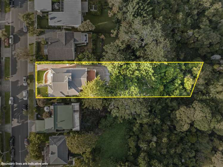 102 Allum Street Kohimarama_25