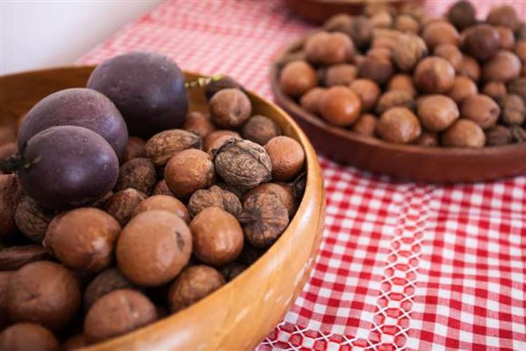 64 Waioeka Road Opotiki Coastal_15