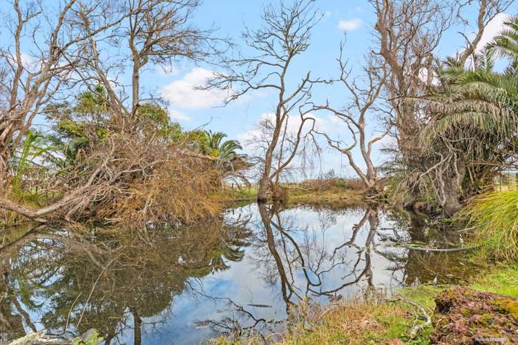 275 Postman Road Dairy Flat_10