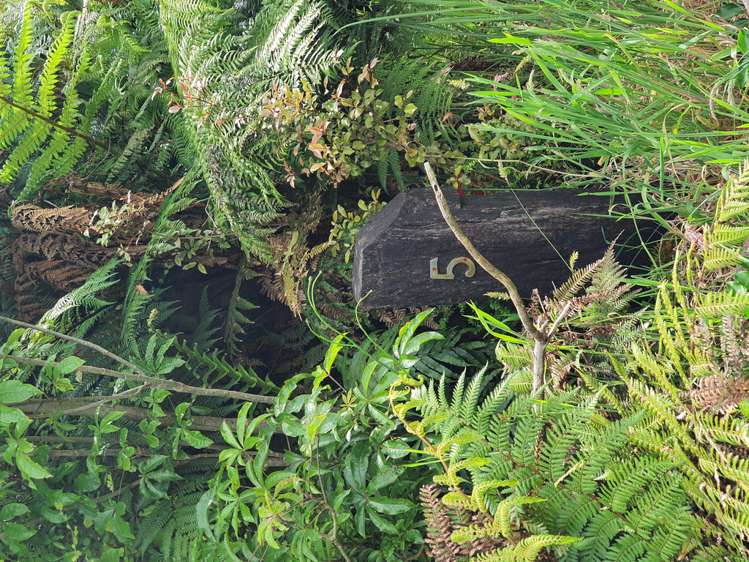 5 Middleton Place Franz Josef Glacier_7