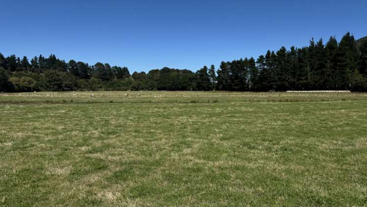 Waiohine Gorge Road Carterton_7
