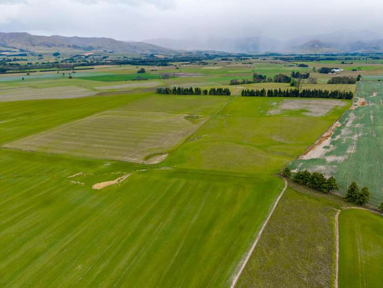 311 Hamilton Road Fairlie_9