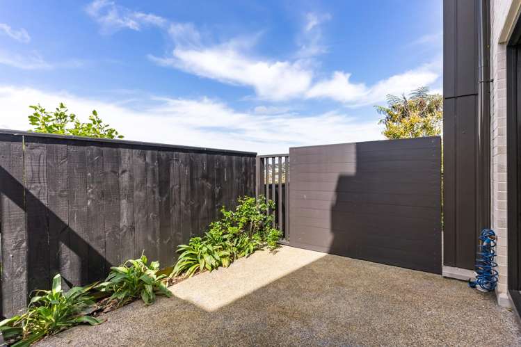 14 Ara Toutouwai Karori_9