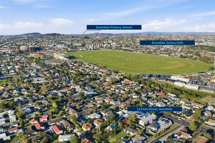 119 ash street Avondale_5
