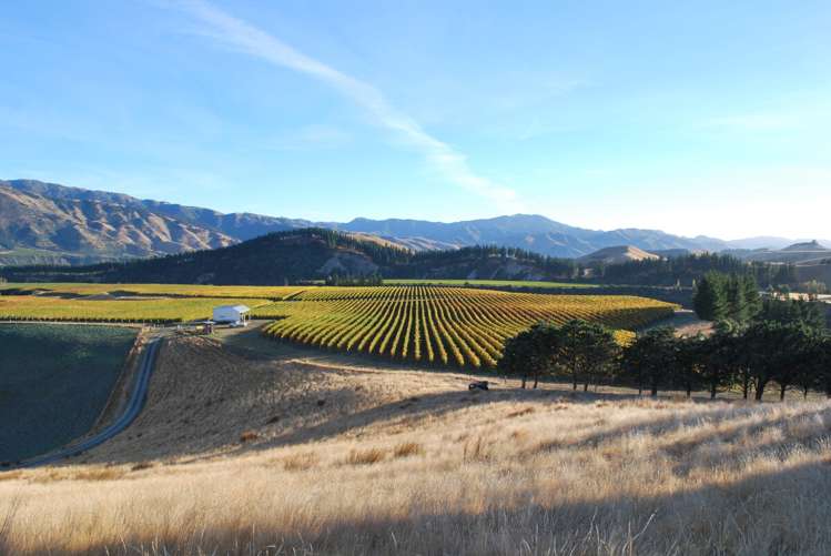 220 Ballochdale Road Awatere Valley_13