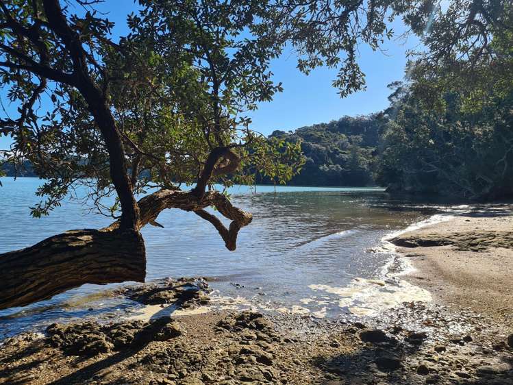 515 Wyuna Bay Road_2