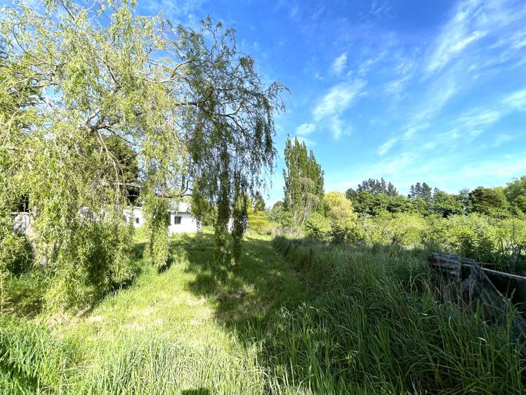 37 Knoll Street Milton_7