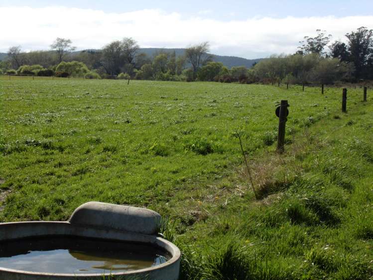 5326 Hampden-Palmerston Road Palmerston_14