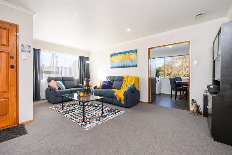 21 Flower Street Bulls_7