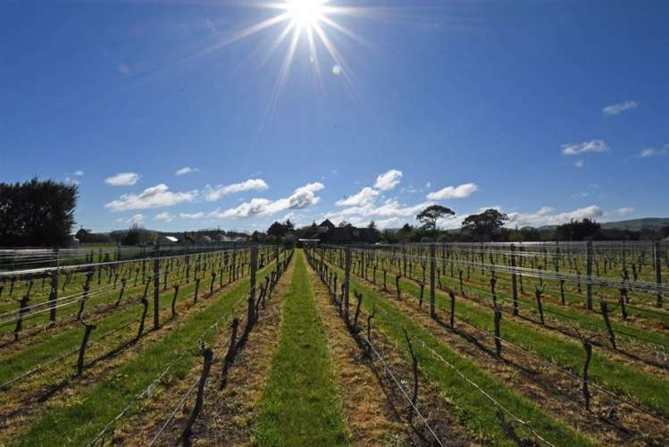 26 Huangarua Road Martinborough_15