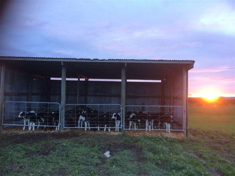 21 Grayden Road Morrinsville_9