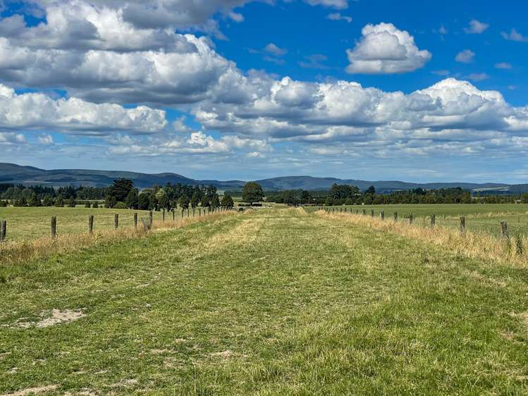 1177 Limehills Browns Road Winton Surrounds_6