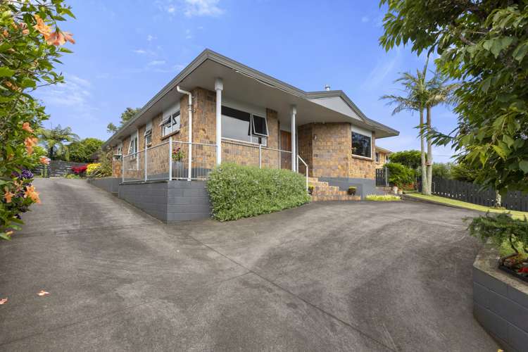 10 Hursthouse Street Vogeltown_22