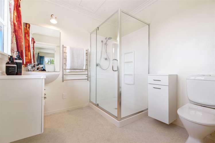 45 Balfour Crescent Riverlea_17