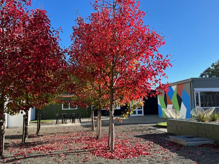 9-15 Refreshment Place Upper Hutt_12