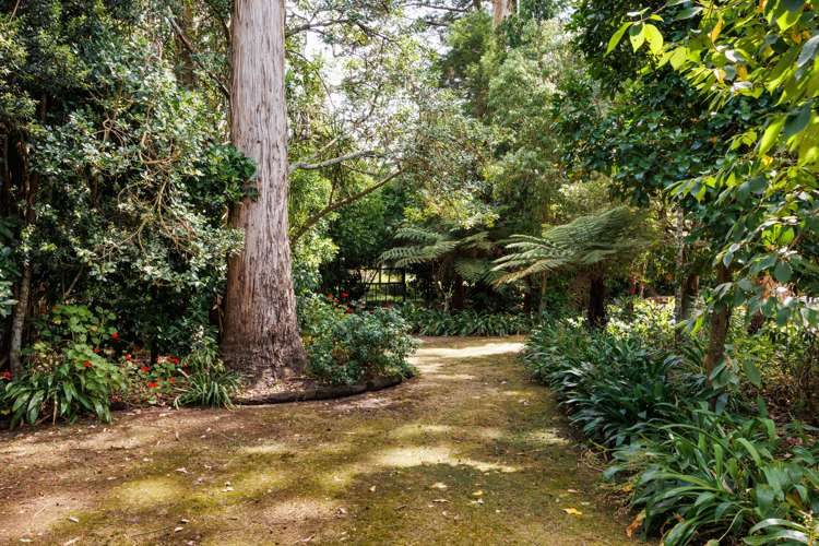 39 Wanganui Road Marton_6