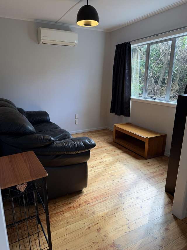 2 Mackay Street Waihi_4