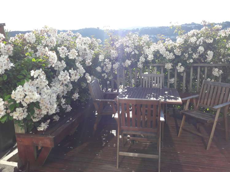 290 Rintoul Street Berhampore_16