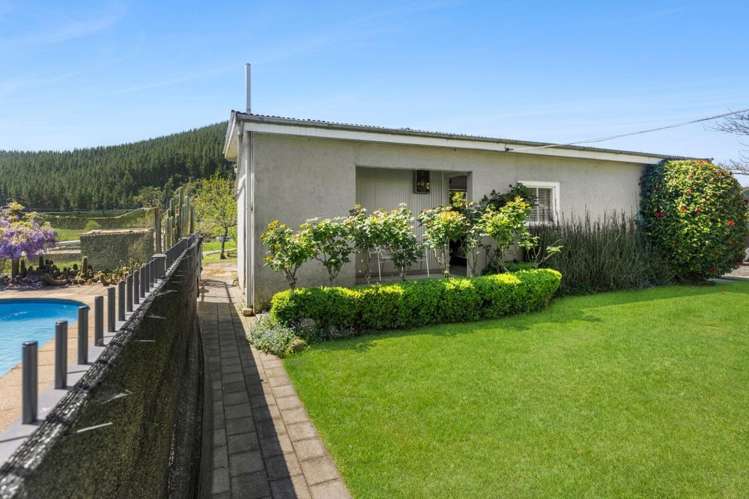 848 Dovedale Road Dovedale_13