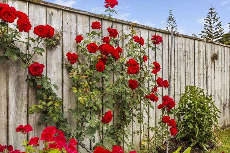 202 Whirinaki Road Eskdale_23