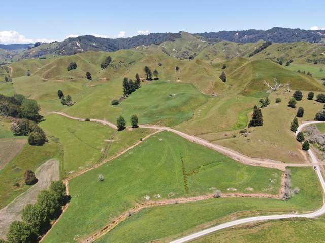 967 Ohura Road Aria_3