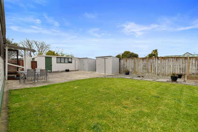17a Snell Street Morrinsville_1
