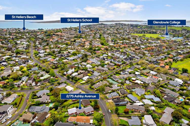 2/75 Ashby Avenue Saint Heliers_19