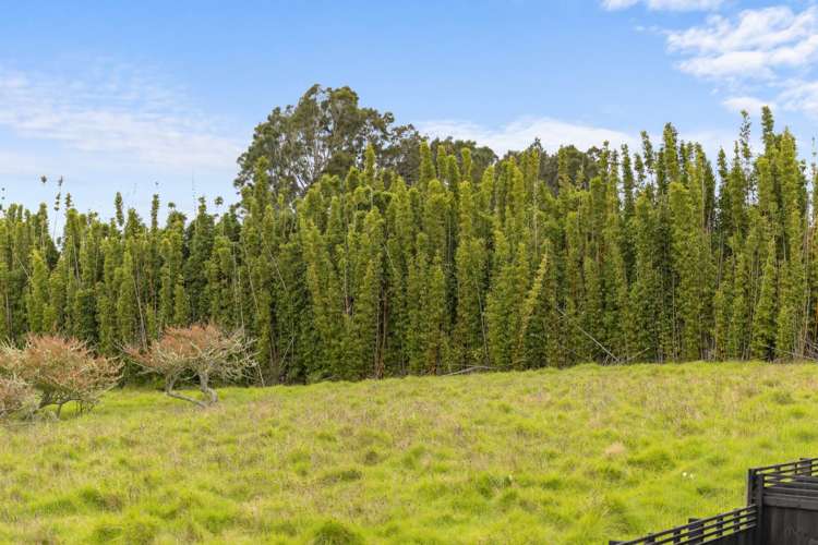 63 Whiteywood Street Westgate_13