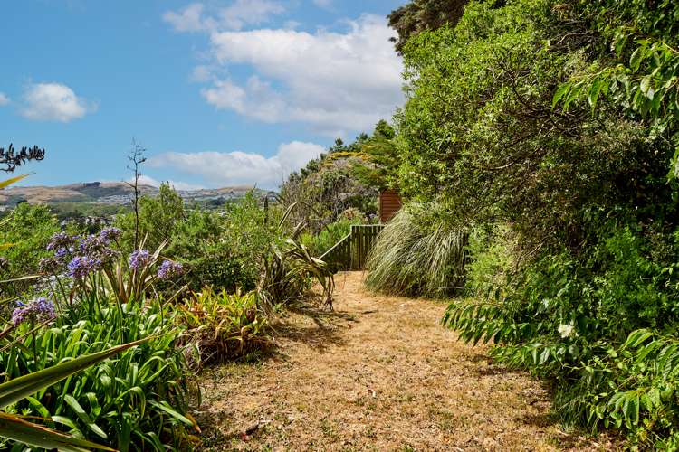 61 Churton Drive Churton Park_14