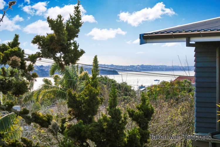 72 Selwyn Avenue Mission Bay_8