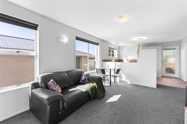 2 Emlyn Place Avondale_3